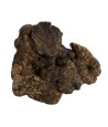 Dog Woodzzz - Kauwwortel Met Olijfolie M. 301-500gr