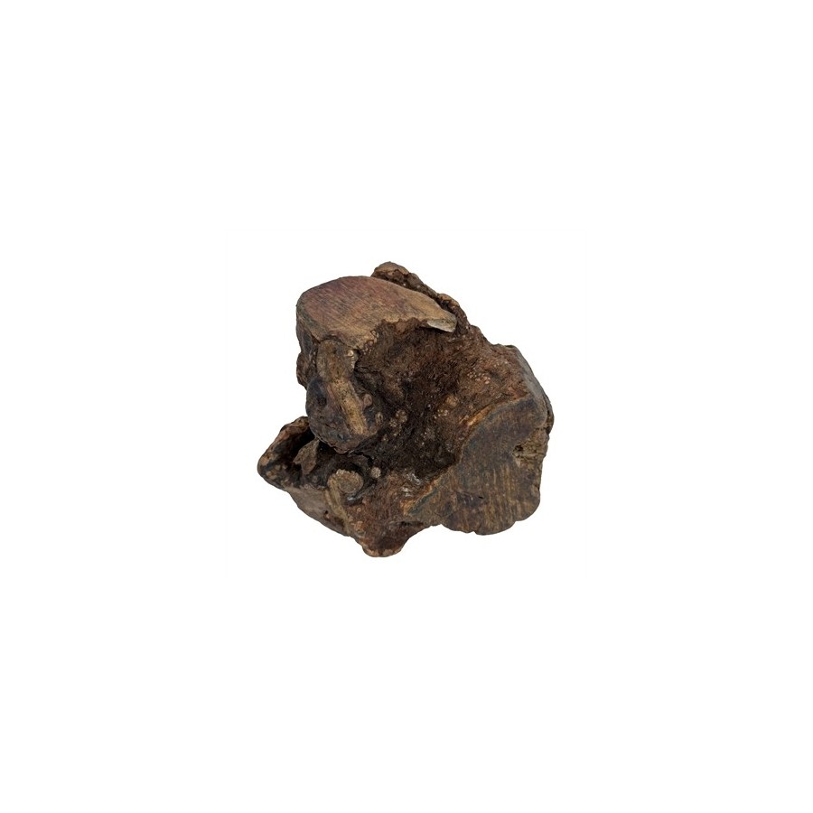 Dog Woodzzz - Kauwwortel Met Olijfolie XL 751-1000gr