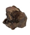 Dog Woodzzz - Kauwwortel Met Olijfolie XL 751-1000gr