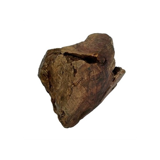 Dog Woodzzz - Kauwwortel Met Olijfolie XL 751-1000gr