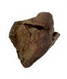 Dog Woodzzz - Kauwwortel Met Olijfolie XL 751-1000gr
