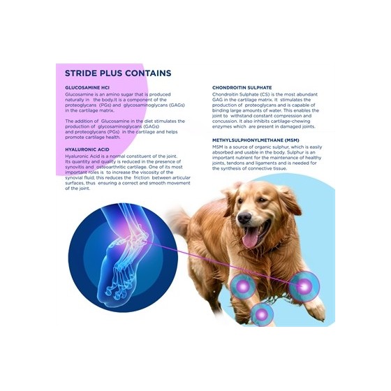 Trm Stride Plus 500 ML