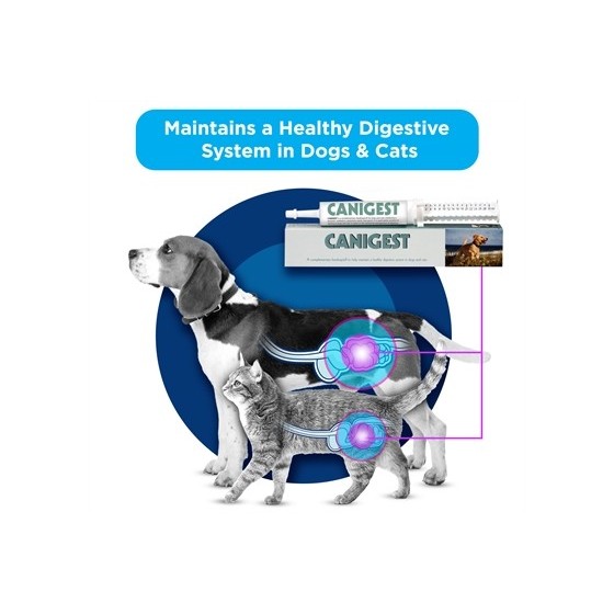 TRM - Canigest. 30ml