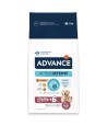 Advance - Maxi Senior. 12kg