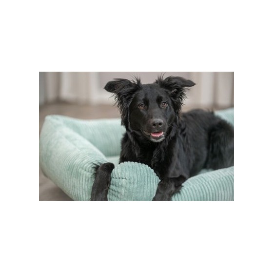 Trixie Hondenmand Vital Jonna Ribfluweel Saliegroen 100X70 CM