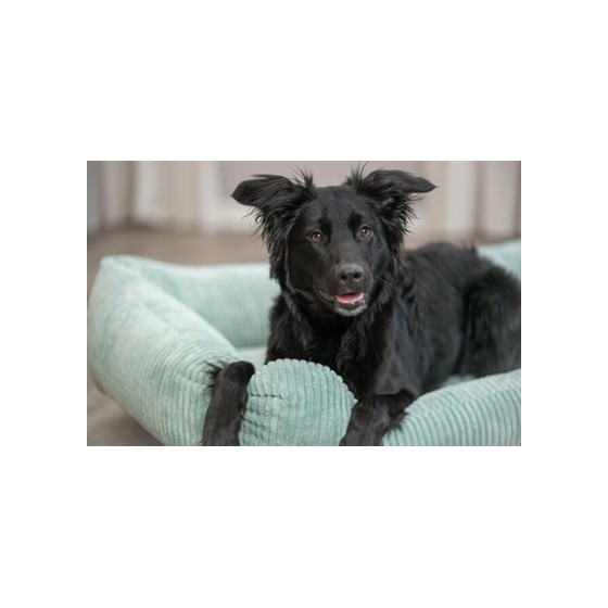Trixie Hondenmand Vital Jonna Ribfluweel Saliegroen 80X60 CM