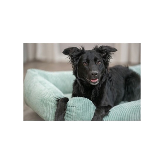 Trixie Hondenmand Vital Jonna Ribfluweel Saliegroen 60X50 CM