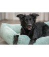Trixie Hondenmand Vital Jonna Ribfluweel Saliegroen 60X50 CM
