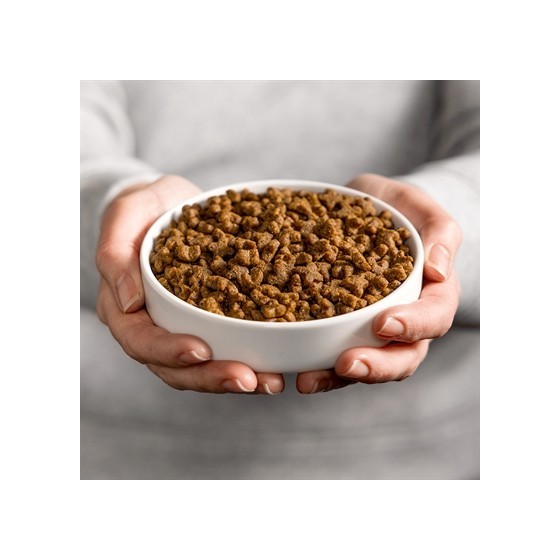 Smolke - Adult Kip / Rijst. 2kg