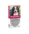 Bayer Elanco Advantix Spot On 600/3000 40+ KG - 4 PIP