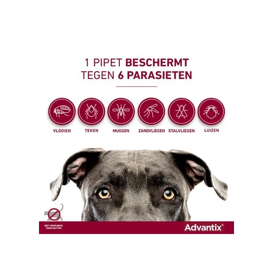 Bayer Elanco Advantix Spot On 600/3000 40+ KG - 4 PIP