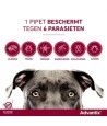 Bayer Elanco Advantix Spot On 600/3000 40+ KG - 4 PIP