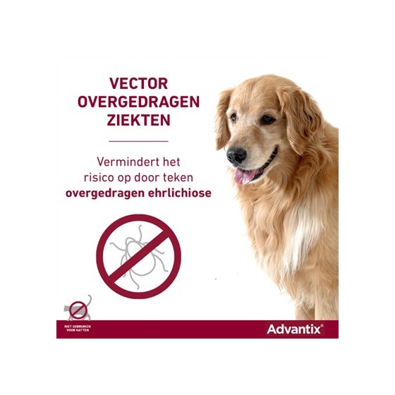 Bayer Elanco Advantix Spot On 600/3000 40+ KG - 4 PIP