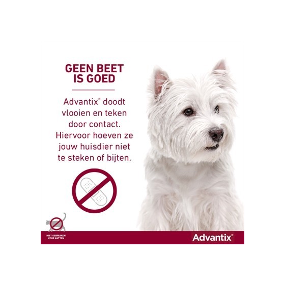 Bayer Elanco Advantix Spot On 600/3000 40+ KG - 4 PIP