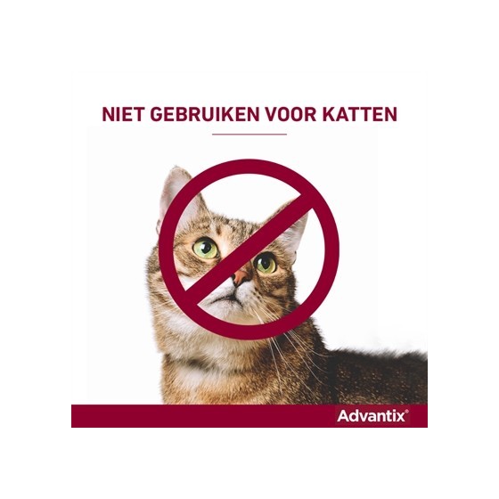Bayer Elanco Advantix Spot On 600/3000 40+ KG - 4 PIP