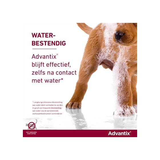 Bayer Elanco Advantix Spot On 600/3000 40+ KG - 4 PIP