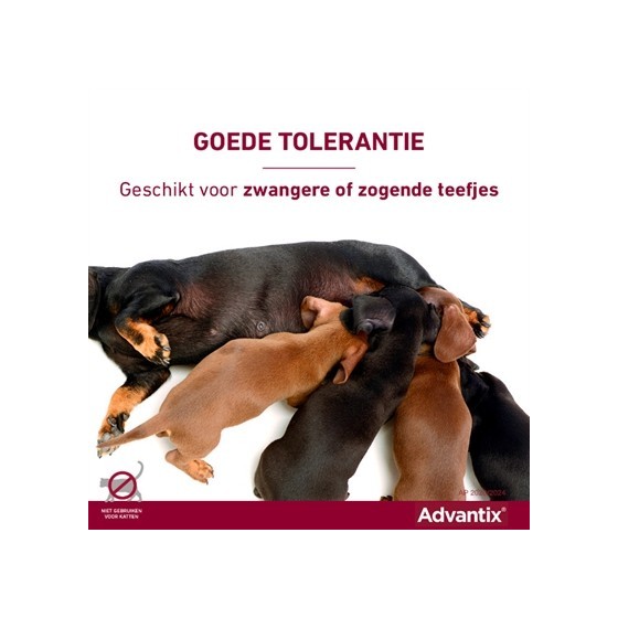 Bayer Elanco Advantix Spot On 600/3000 40+ KG - 4 PIP