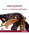 Bayer Elanco Advantix Spot On 600/3000 40+ KG - 4 PIP