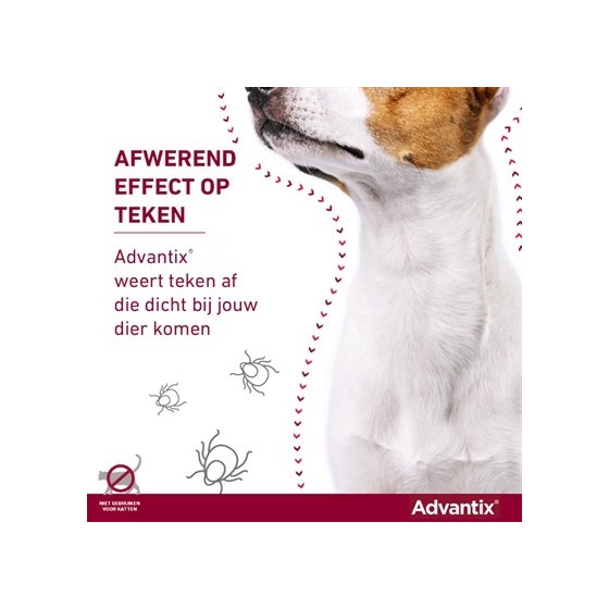 Bayer Elanco Advantix Spot On 600/3000 40+ KG - 4 PIP