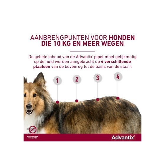 Bayer Elanco Advantix Spot On 600/3000 40+ KG - 4 PIP