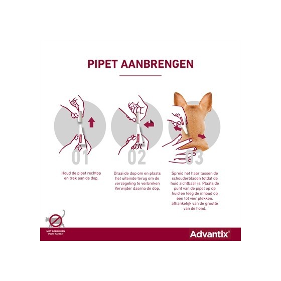 Bayer Elanco Advantix Spot On 600/3000 40+ KG - 4 PIP