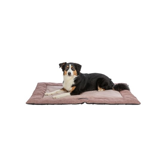 Trixie Ligmat Viviana Oudroze 95X65 CM