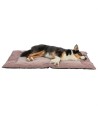 Trixie Ligmat Viviana Oudroze 95X65 CM