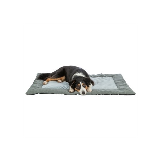 Trixie Ligmat Viviana Blauwgrijs 120X80 CM