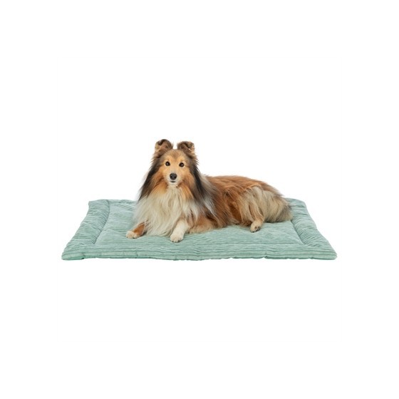 Trixie Ligmat Jonna Ribfluweel Saliegroen 70X50 CM