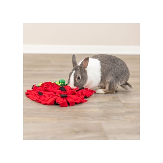 Trixie - Snuffelmat Aardbei Rood. 40x33cm
