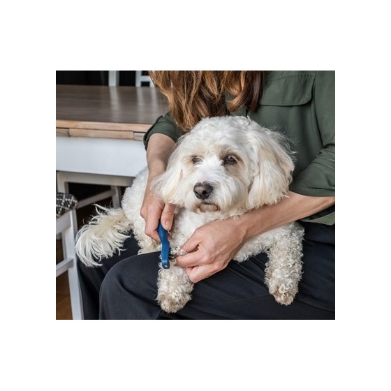 Mikki Doodle De-Matter