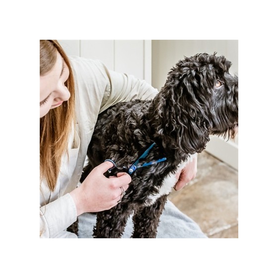 Mikki Doodle Effileerschaar Enkel 16,5 CM