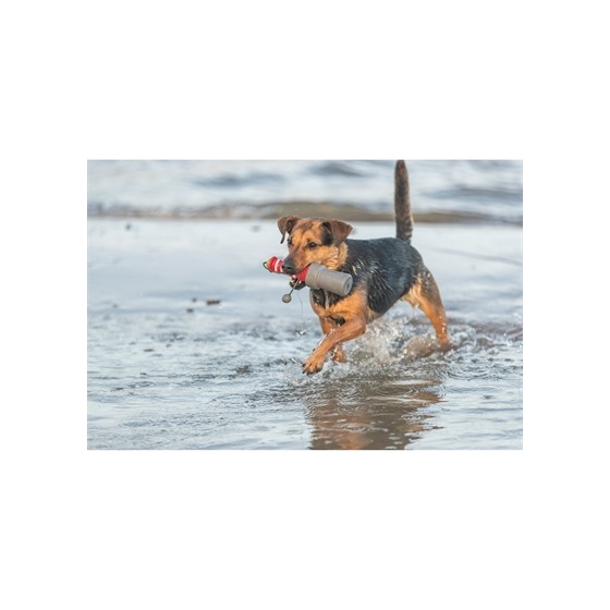 Trixie - Aqua Vuurtoren, 20cm