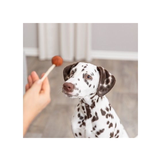 Trixie Premio Lolly Met Kabeljauw 9 CM 60 ST