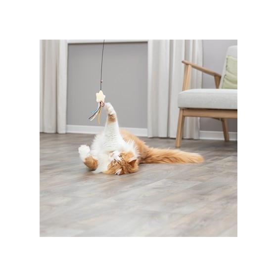 Trixie - Kattenhengel Ster Kunststof / Pluche Met Catnip. 46cm