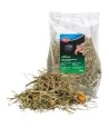 Trixie - Reptiland Grassen & Graslandkruiden voor Landschildpadden, 6x200gr