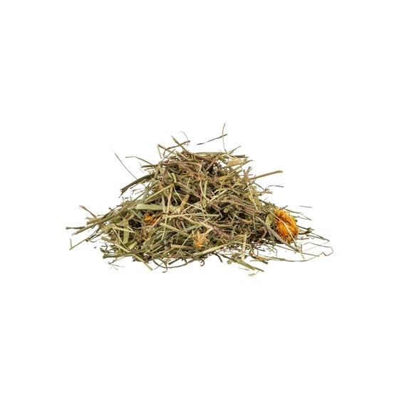 Trixie - Reptiland Grassen & Graslandkruiden voor Landschildpadden, 6x200gr