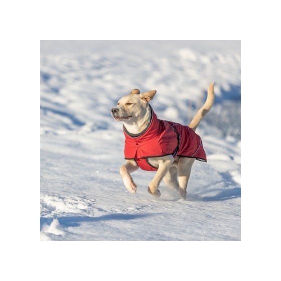 Trixie - Hondenjas Winter Explore Thermo Rood, 30cm