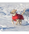 Trixie - Hondenjas Winter Explore Thermo Rood, 62cm