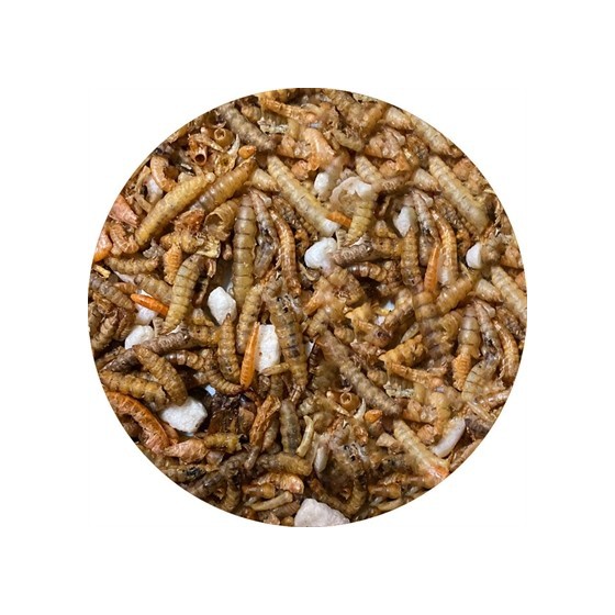 Utopia Insectenmix 500 GR