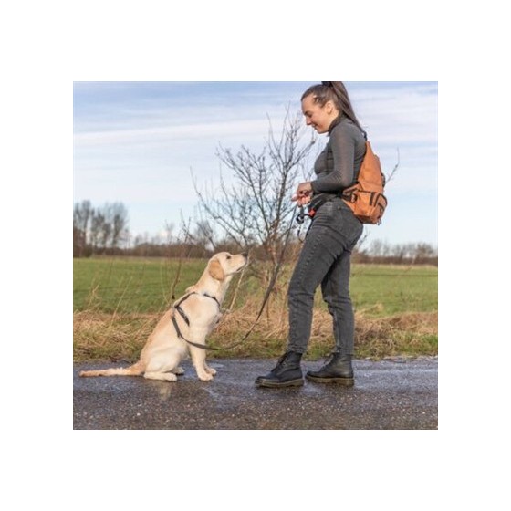 Trixie Rolltop Rugtas Met Heuptas Met Riem Roest 55X130 CM