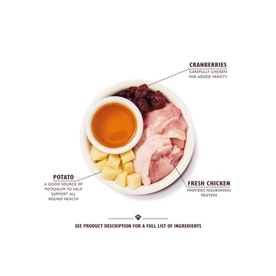 Lily's Kitchen - Cat Adult Chicken Casserole, 800 gr