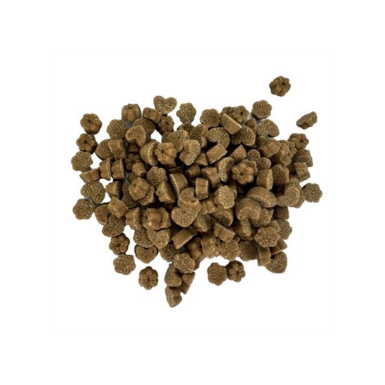 Dog Treatz - Koektrainer Kalkoen / Kurkuma Graanvrij 2,5kg