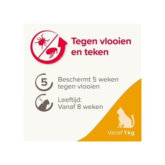 Beaphar - Fiprotec Kat Tegen Vlooien & Teken 3+1pip 1kg & 8weken