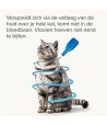 Beaphar - Fiprotec Kat Tegen Vlooien & Teken 3+1pip 1kg & 8weken