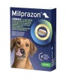Krka - Milprazon Kauwtabletten Ontwormingstabletten Hond, 5kg 12,5mg/125mg 4tbl