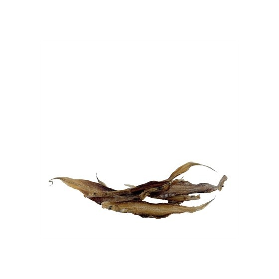 Petsnack - Tongfilet. 500gr