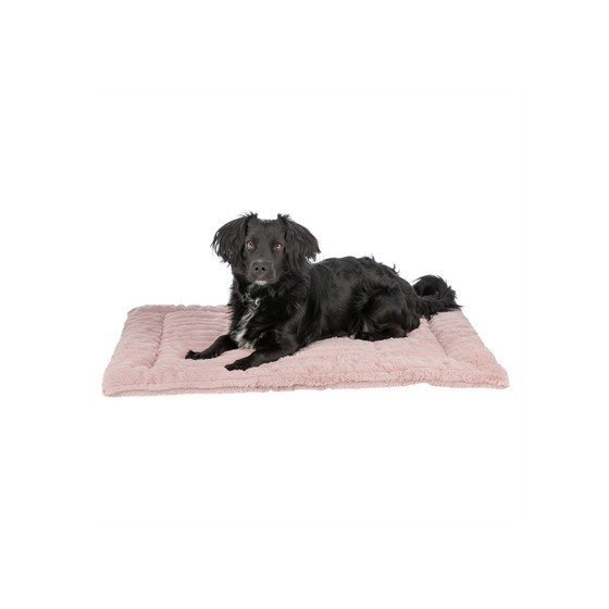 Trixie - Ligmat Lonni Ribfluweel, Roze. 50x35cm