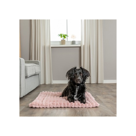 Trixie - Ligmat Lonni Ribfluweel, Roze. 50x35cm