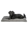 Trixie - Ligmat Lonni Ribfluweel, Grijs. 50x35cm